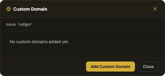 Custom Domain panel in the Matrizen dashboard for a Notion site