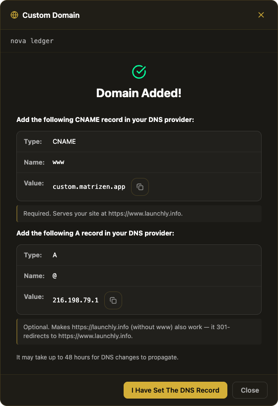 DNS A record and CNAME record to add for a Notion custom domain
